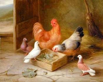 unknow artist Poultry 093 Spain oil painting art